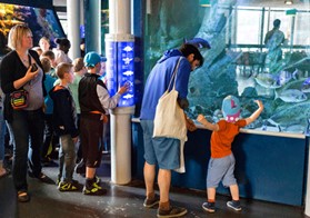 aquarium-cite-des-sciences decouvrir l'aquarium de la cite des sciences